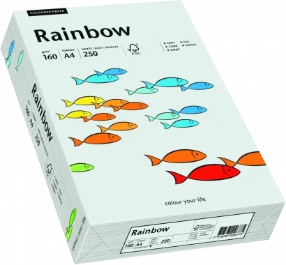 Papier ksero ekologiczny Rainbow A4, 160g/m2, 250 arkuszy, jasny szary (R93)